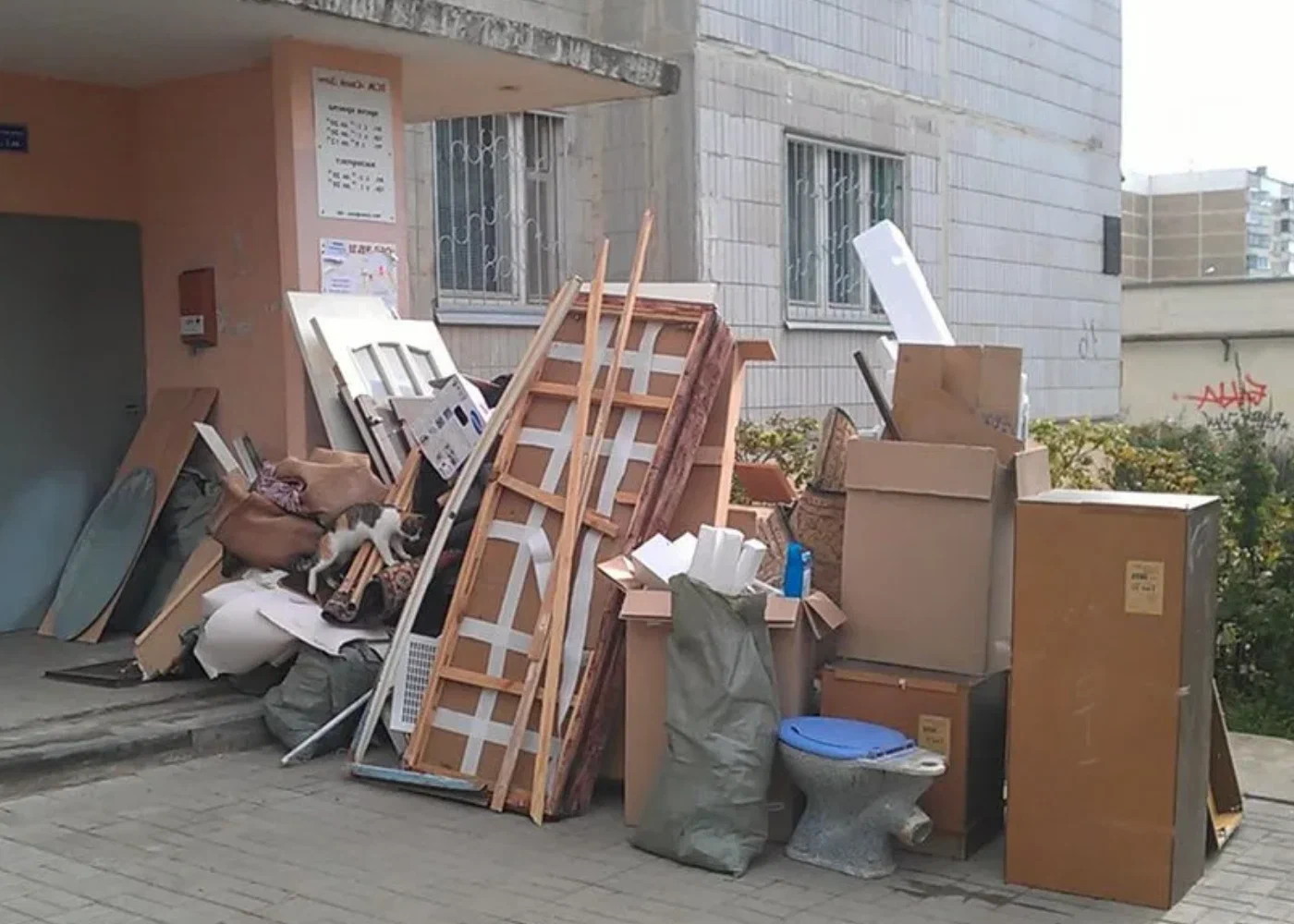 Профессиональный вывоз мусора из квартиры в Долгопрудном в октябре