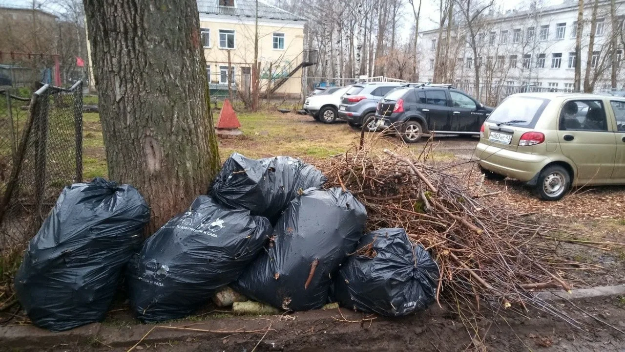 Вывоз мусора после субботника в Долгопрудном от ПроМусор – уборка и утилизация отходов от 2384 руб