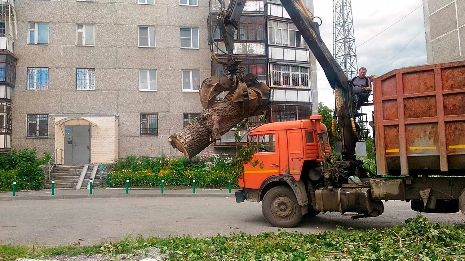 Вывоз спиленных веток и деревьев в Долгопрудном от ПроМусор: порубочные остатки, утилизация, цена от 2942 руб