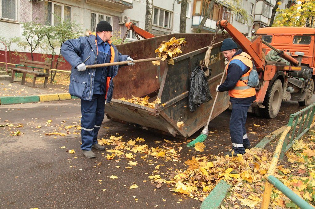 Вывоз опавшей листвы и растительного мусора в Долгопрудном от ПроМусор – цена от 4566 руб., быстрая уборка и утилизация
